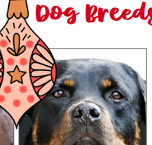 Printable fruity Christmas quiz thumbnail 2025