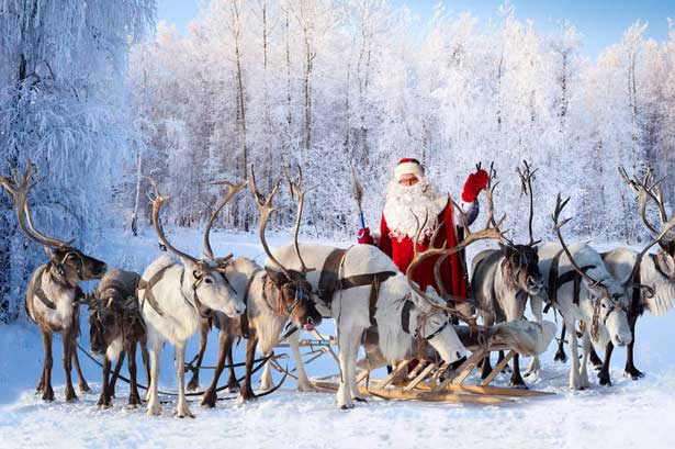 santas reindeers